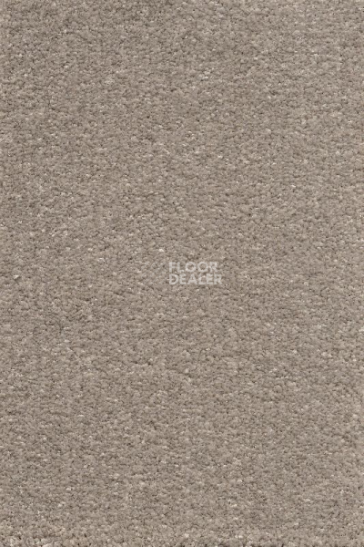 Ковролин AW Promenade 32 фото 1 | FLOORDEALER